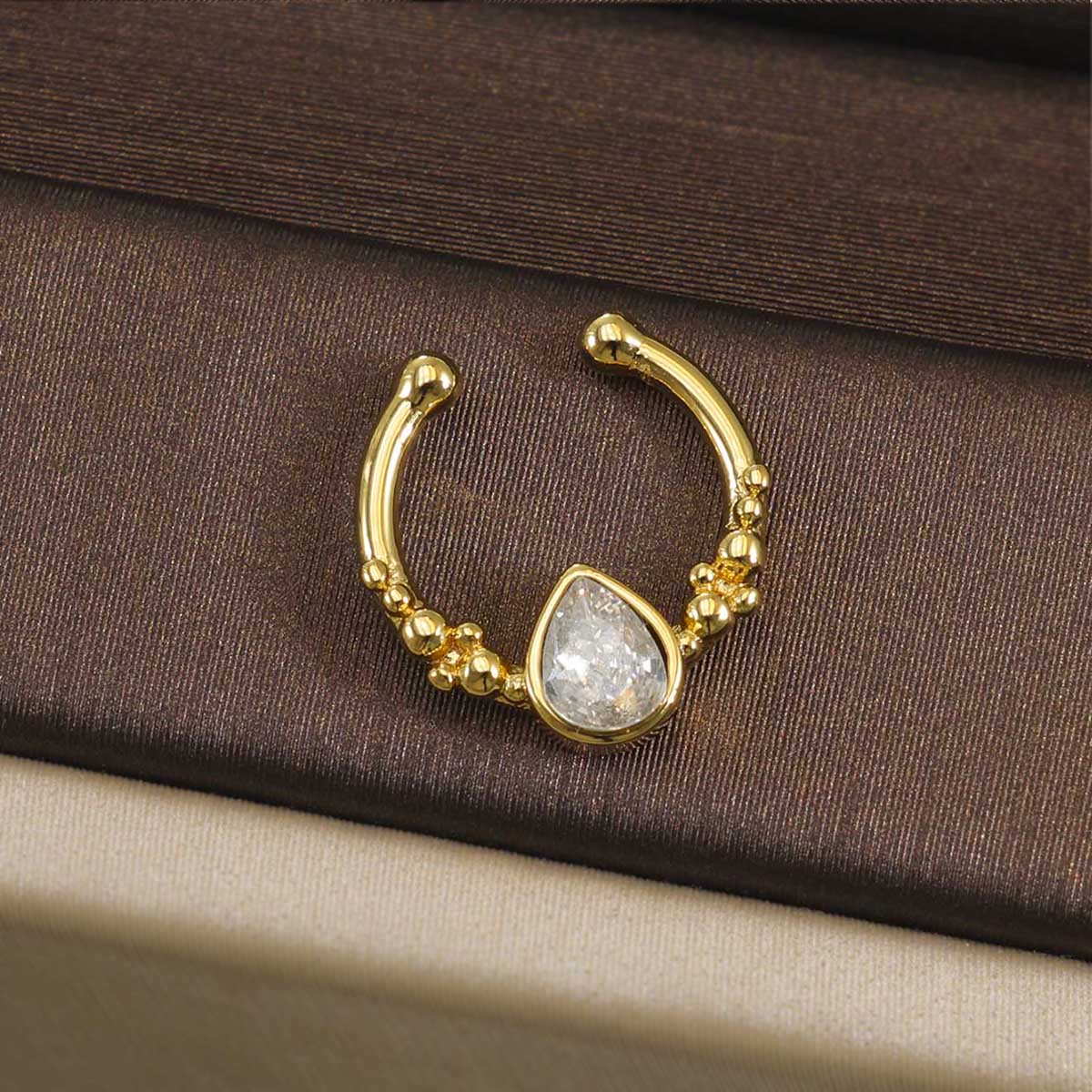 316L RVS Septum Clicker Ring 1 - Helix Cartilage Ring recensie en prijs