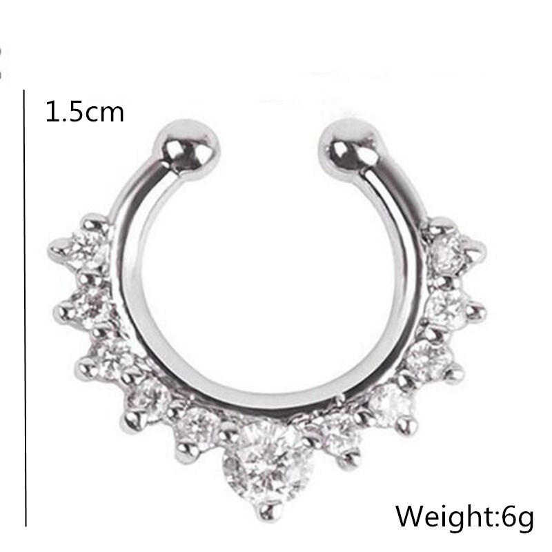 1Pc U-Vorm Neusklem Neusringen - Body Jewelry And Earrings recensie en prijs