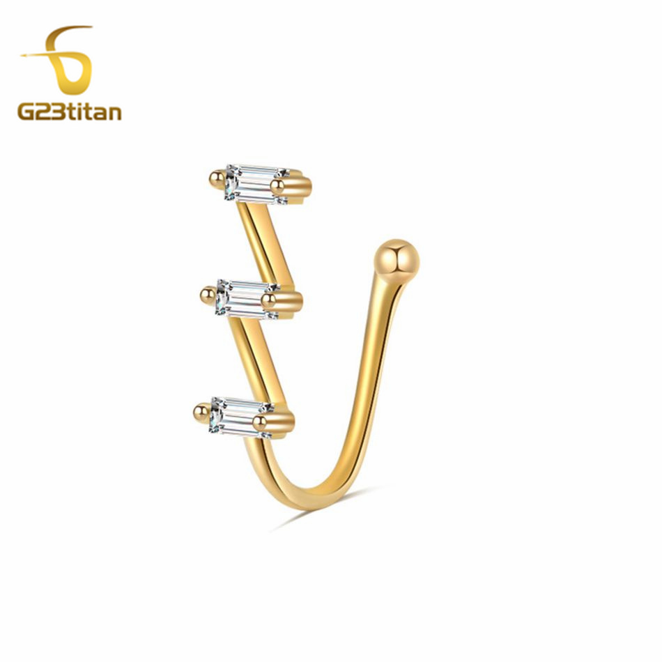 1 Stuk Nep Neus Piercing Ring  - Helix Cartilage Ring recensie en prijs