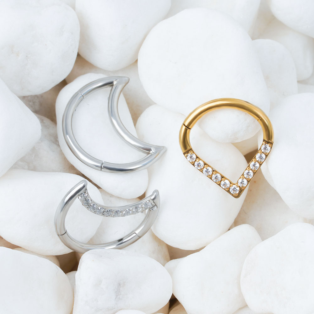 F136 Titanium Scharnierende Tr - Helix Cartilage Ring recensie en prijs