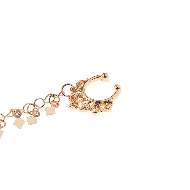 Neus Ring Ketting, Opknoping D - Body Jewelry Indian recensie en prijs