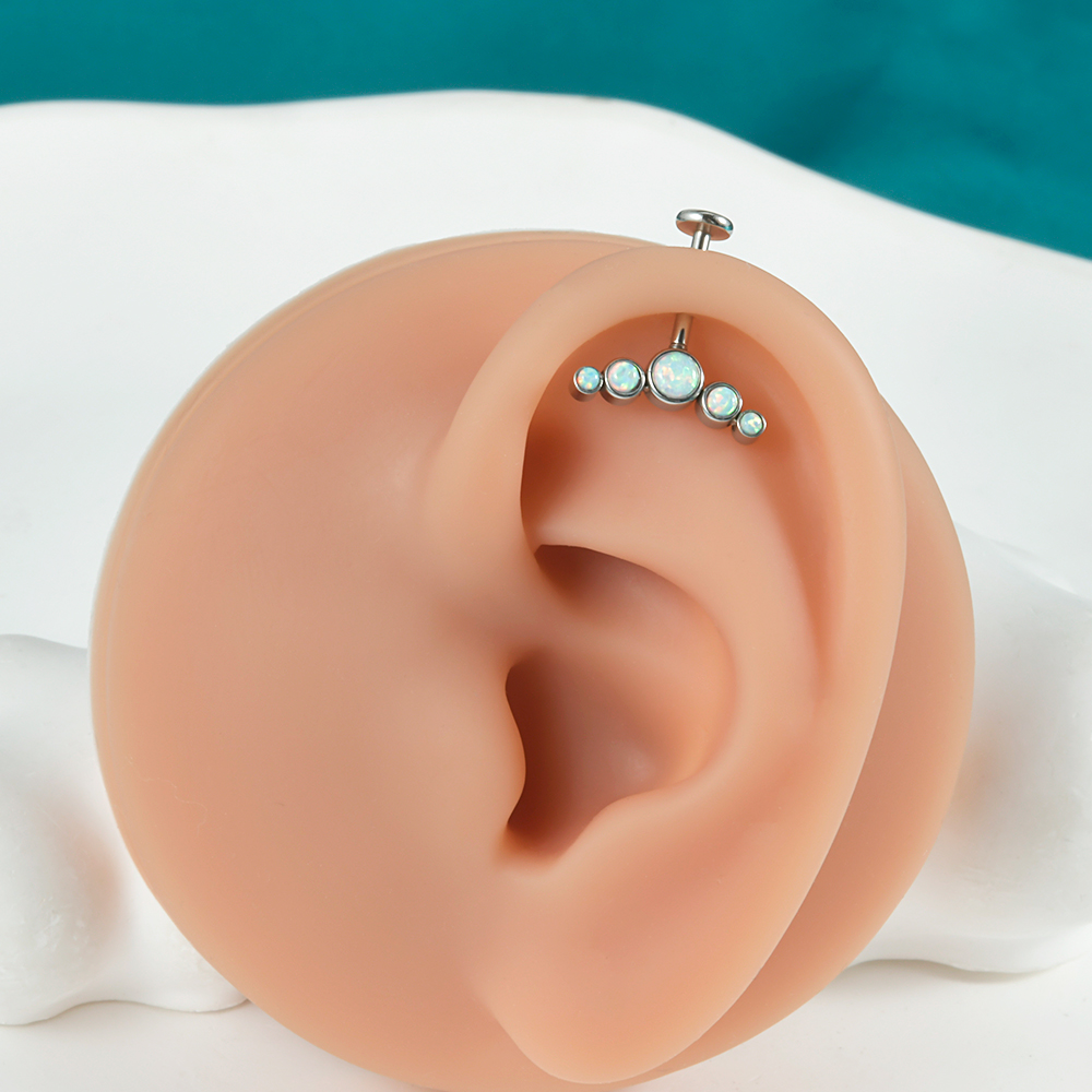 1 Stuk Chirurgisch Staal Cz Ge - Helix Cartilage Ring recensie en prijs